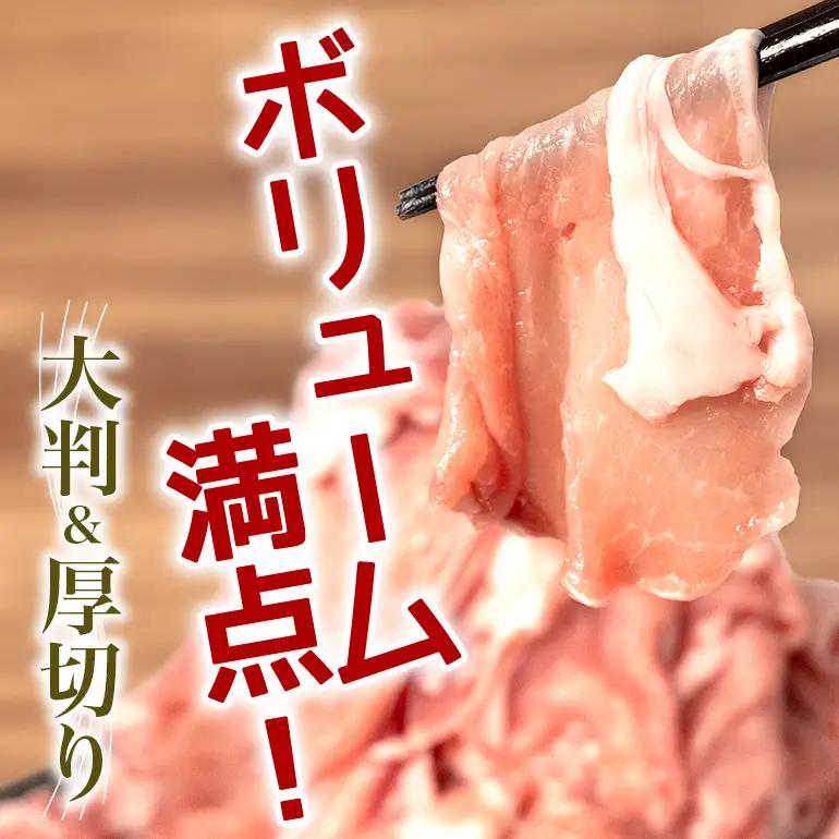 豚肉 切り落とし 2.5kgセット 小分け 500g×5 訳あり 67-2