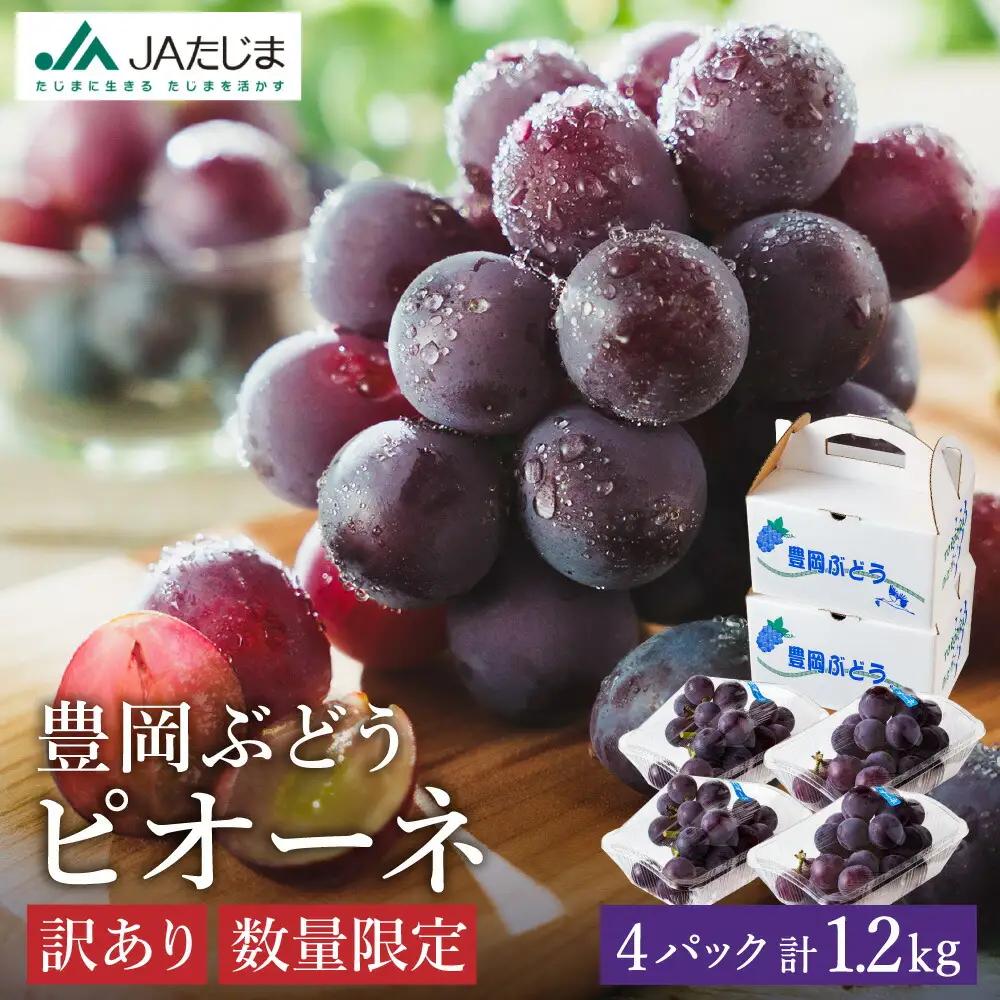 ピオーネ 豊岡ぶどう 訳あり 約300g×4パック【2026年先行予約・数量限定】