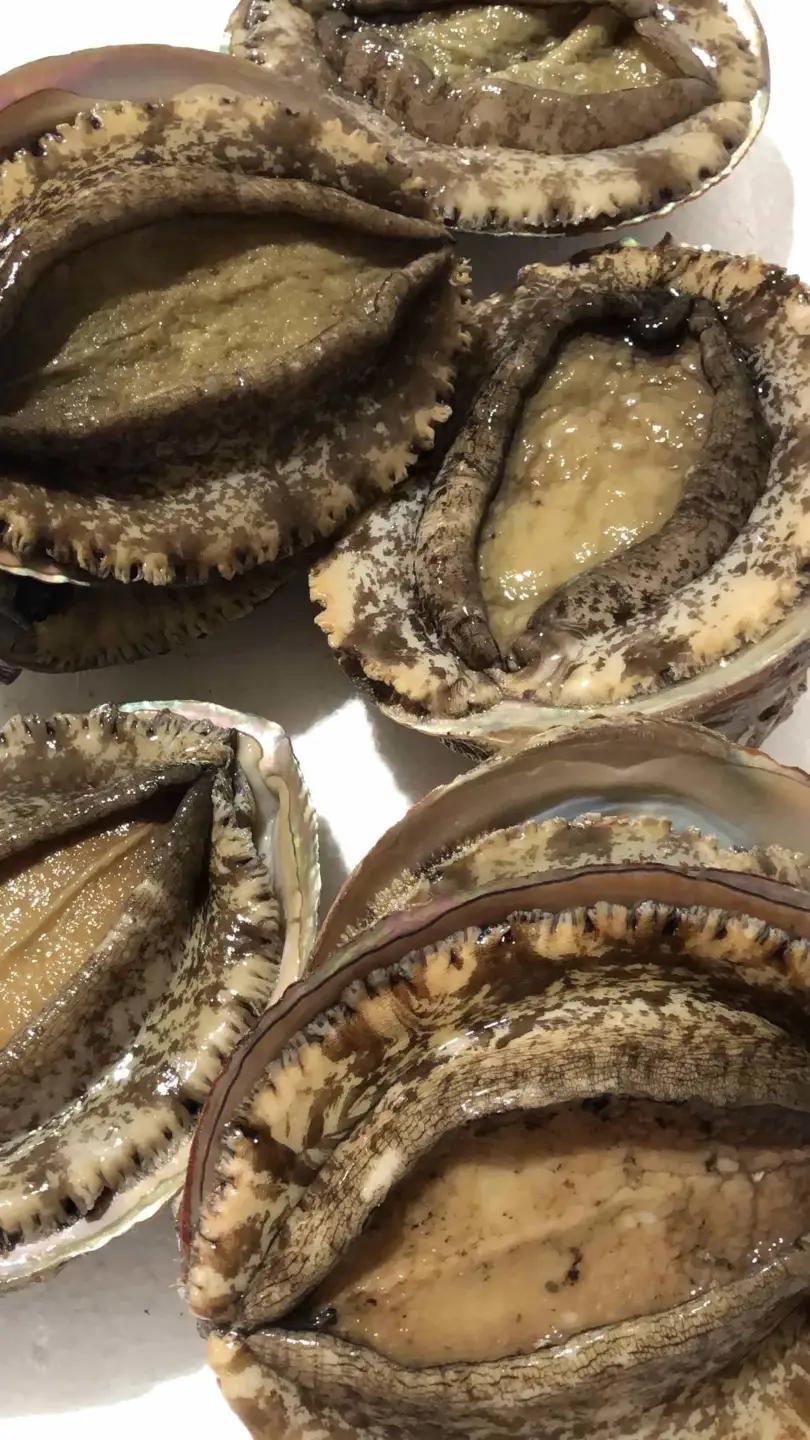 【3ヵ月毎定期便】八幡浜発竹中水産の大アワビ900g以上(2～5個)【H22-289】全2回【配送不可地域：離島・北海道・沖縄県】【4076813】 YWTM107