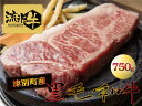 【ふるさと納税】流氷牛ステーキ肉 750g （250g×3 サーロイン） 【 ふるさと納税 人気 おすすめ ランキング 肉 にく ニク 牛 和牛 黒毛和牛 希少 流氷牛 サーロイン ステーキ 今半 やわらかい 柔らかい 旨味 うまみ おいしい 美味しい 北海道 津別町 送料無料 】 TBTR002