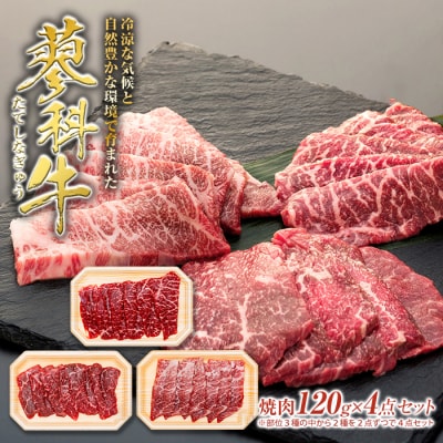 蓼科牛焼肉120g×4点パック