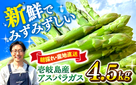 【アスパラガス専門農家が作る！】壱岐産アスパラガス4.5kg  ≪壱岐市≫【きたじま農園】 国産 冷蔵配送 産地直送 朝採れ 新鮮 [JGI001]