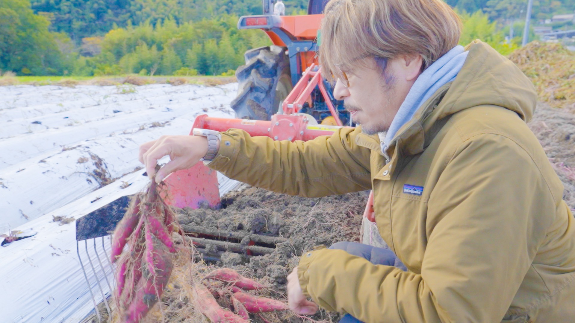 冷やし蜜焼き芋「寛芋（かんう）」1㎏（500g×2P）