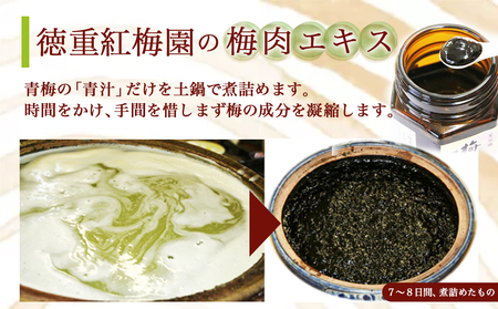 徳重おばあちゃんが受け継いだ梅肉エキス30g_AA-4901_(都城市) 鶯宿梅 おうしゅくばい 梅肉エキス(30g×1本) ミネラル成分たっぷり 栽培期間中農薬不使用の梅 梅エキス うめエキス 有限