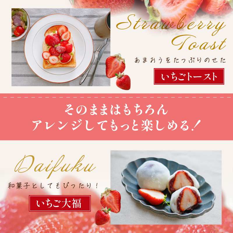 フルーツソムリエが選んだ福岡産【春】あまおう8パック【011-0074】
