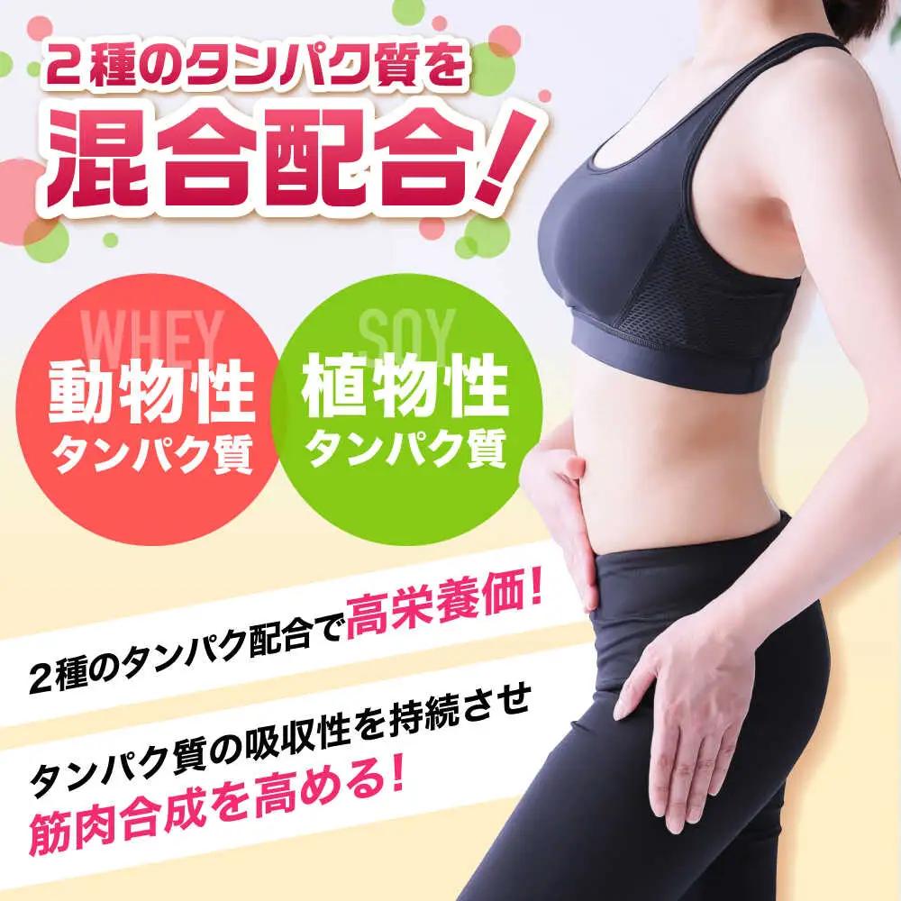 プロテイン ソイ＆ホエイプロテイン ストロベリー味 500g×1袋 [AIDW001]  プロテイン