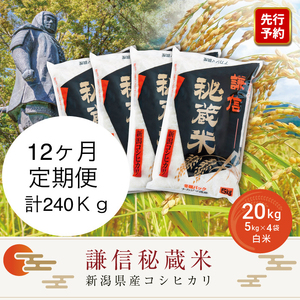 令和7年産 定期便12ヶ月連続発送（20kg×12回分）20kg 米 新潟県産 コシヒカリ  精白米 謙信秘蔵米  お米  こめ コメ おこめ おすすめ こしひかり 新潟 にいがた 新潟米 上越 上越産 上越米 ふるさと納税 定期便 上杉謙信 人気