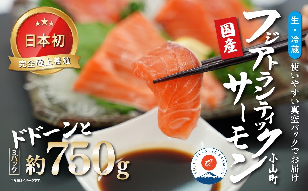 
                  日本初 完全陸上養殖 フジアトランティックサーモン 生 ・冷蔵 3パック 約750g | サーモン アトランティックサーモン 刺身 海鮮丼 さーもん 小分け 真空パック 人気 おすすめ 国産 静岡県 小山町
                