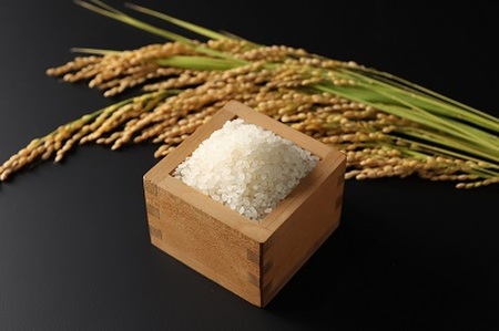 島根県飯南町産 こしひかり（２kg×４袋） ×３回 【 米 コシヒカリ ブランド米 小分け 便利 贈答用 プレゼント 精米 玄米 新米 選択可能 D-64 】