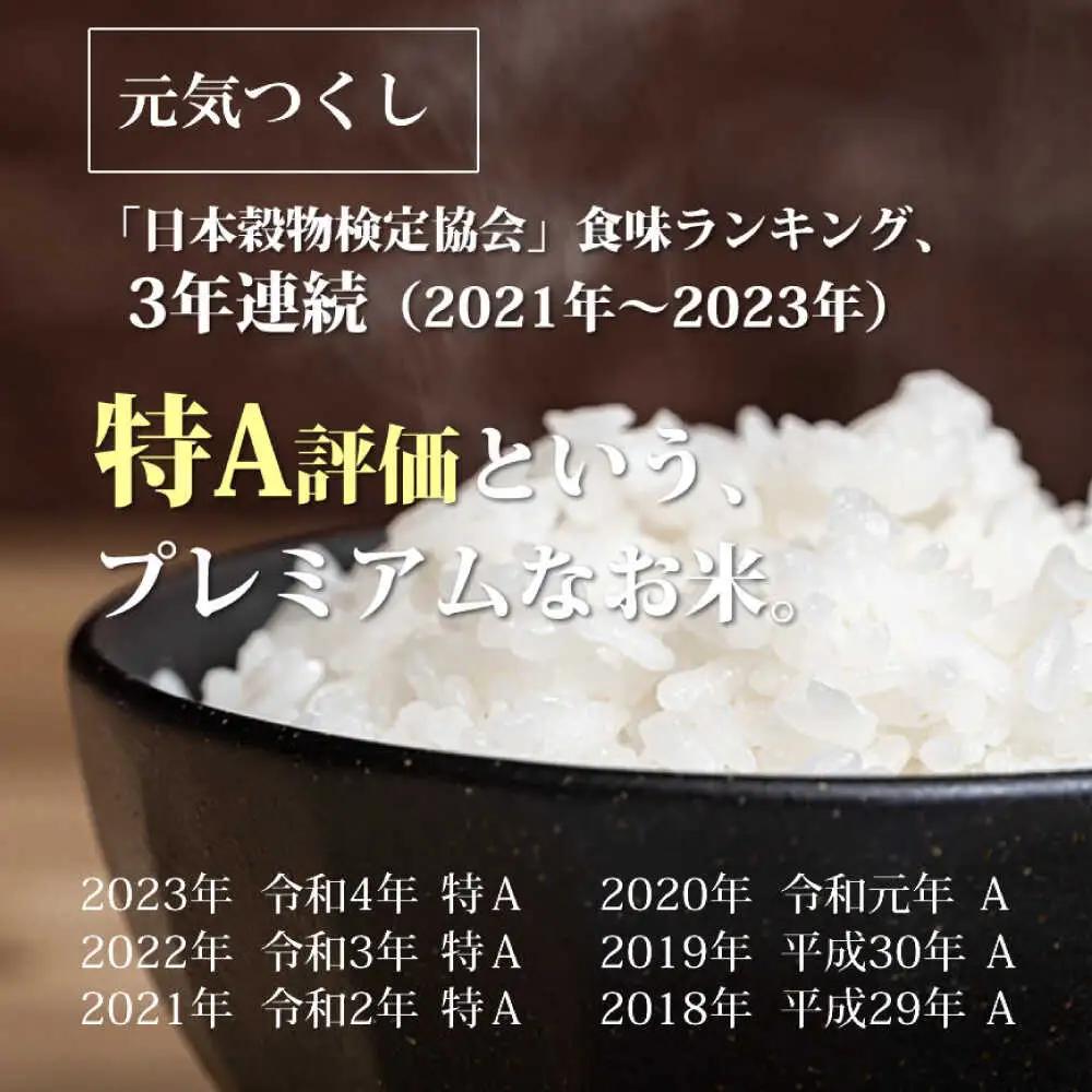 福岡県産 元気つくし 玄米 10kg (5kg×2袋)[BGAF020]元気つくし