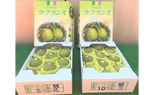 
            西洋梨（ラ・フランス）３ｋｇ　特秀品　0089-2502
          