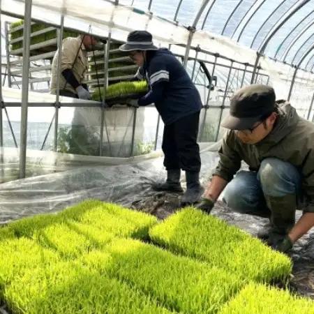 【毎月定期便】ササニシキ 白米 精米 10kg 岩手遠野市 勘六縁「たけのこ舎」全12回【4088047】
