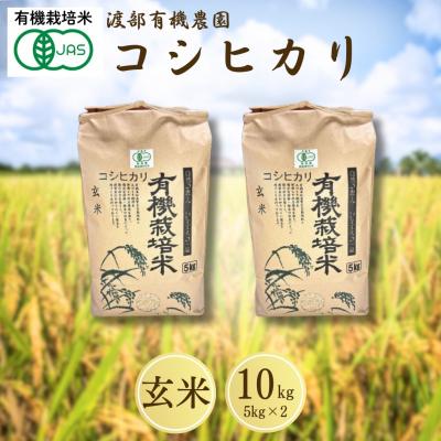 ふるさと納税 南相馬市 JAS有機米 コシヒカリ 玄米 10kg(5kg×2袋) 令和7年産 | 有機米 渡部有機農園