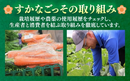 【全6回定期便】よこすか野菜セット すかなボックス 野菜 お野菜 季節野菜 やさい 詰め合わせ 詰合せ セット お楽しみ 産地直送 旬 厳選 すかなごっそ 農産物 神奈川県 横須賀市 定期 定期便【J