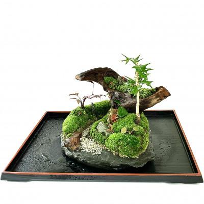 ふるさと納税 豊川市 苔盆景川石山水画は、心を癒す美しい自然の景観をお部屋に届けるアイテムです。 |  | 02