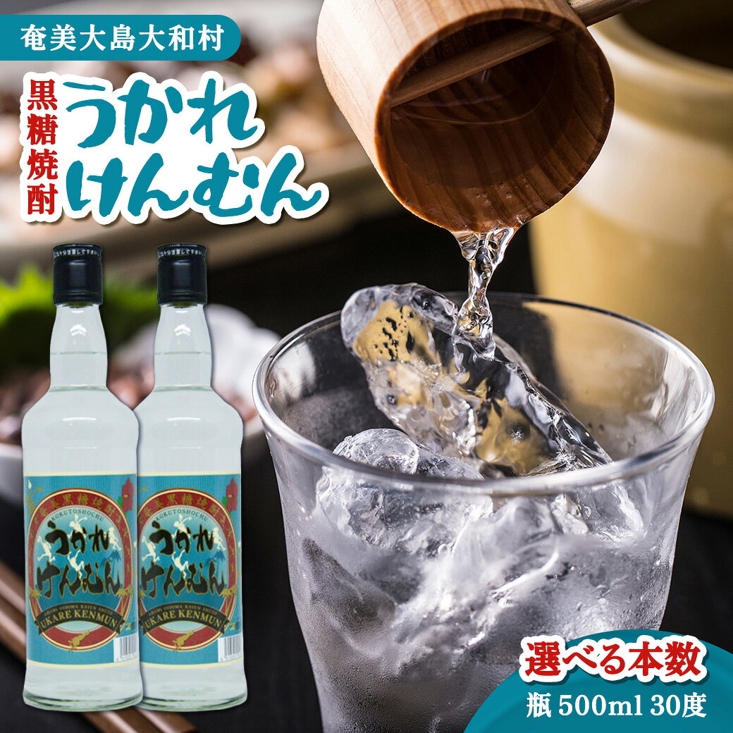 【ふるさと納税】 黒糖焼酎 うかれけんむん (500mL) 選べる内容量 30度 焼酎 酒 お酒 アルコール 常圧蒸溜 鹿児島県 大和村 奄美大島開運酒造