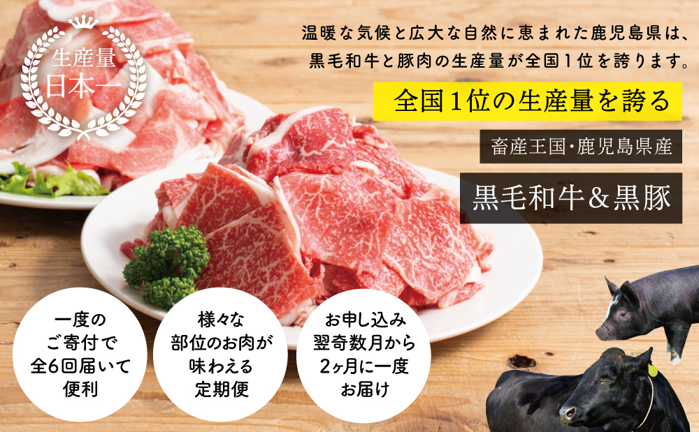【スターゼン厳選定期便】鹿児島県産黒毛和牛・黒豚定期便（全6回）　サーロイン ステーキ 切り落とし しゃぶしゃぶ 焼肉 すき焼き ローススライス 定期便 冷凍 スターゼン