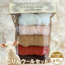 【ふるさと納税】えこりんウールセット《白と大地のいぶき》 手芸キット ウール 生地 手芸 6,000円 6000円 手作り ふるさと納税 北海道 恵庭 恵庭市【190048】