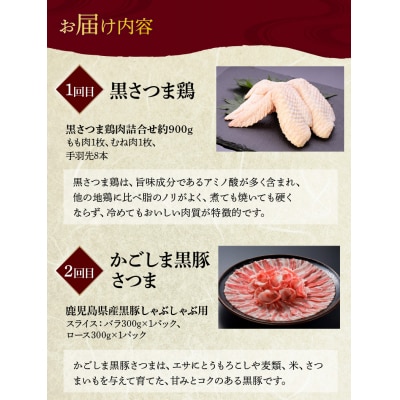 【毎月定期便】黒の極　お試し定期便全3回【配送不可地域：離島】