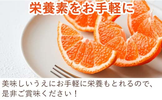 栄養も手軽にとれる美味しいみかん。ギフト、贈り物にも最適。