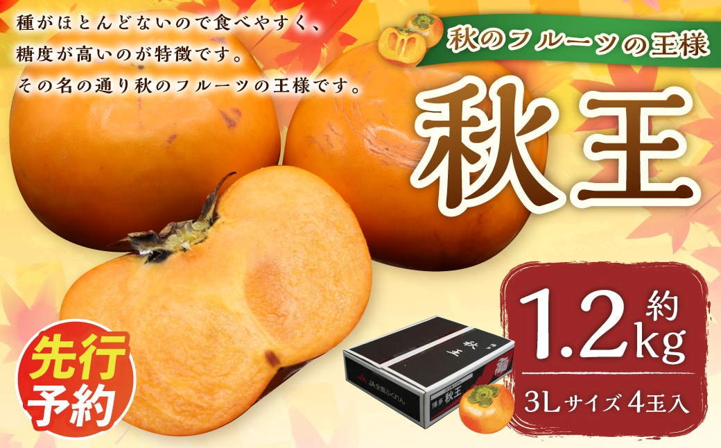 
                  福岡県ブランド柿「秋王」約1.2kg 3Lサイズ 4玉入り 柿 カキ かき 果物 くだもの フルーツ 【2026年10月下旬～11月下旬発送予定】
                