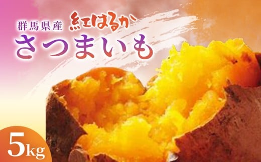群馬県産　紅はるか　５ｋｇ ふるさと納税 サツマイモ さつまいも 紅はるか スイーツ 国産 美容 ダイエット 健康維持 トレーニング おやつ  群馬県 安中市 送料無料 ANAZ007