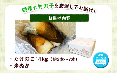 【2025年3月先行予約】熊本県 御船町 掘りたて たけのこ 4kg タケノコ 竹の子 冷蔵 ギフト グルメ 野菜 お祝い 春 筍《2025年3月上旬-4月下旬頃出荷》 有限会社ニシムラ