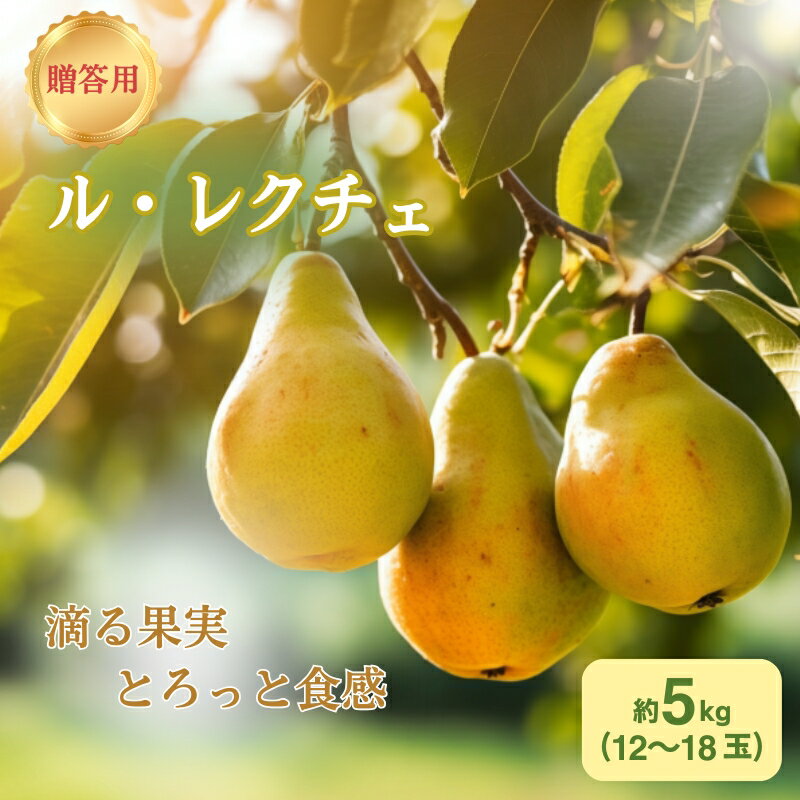 【ふるさと納税】洋梨 長野 贈答用 ル・レクチェ 約5kg （12～18玉） 西洋なし 産地直送 ギフト プレゼント 贈答 贈答品 贈り物 蜜 フルーツ 果物 デザート おやつ 洋ナシ 秋 旬 長野県　お届け：2026年10月中旬～10月下旬
