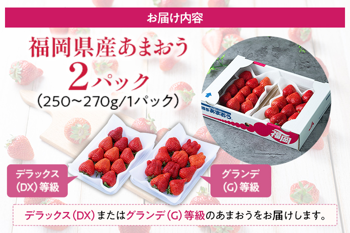 【冬】あまおう 約500g いちご 苺 果物 フルーツ 冷蔵 送料無料 ※北海道・沖縄・離島は配送不可 大木町産 南国フルーツ CO001