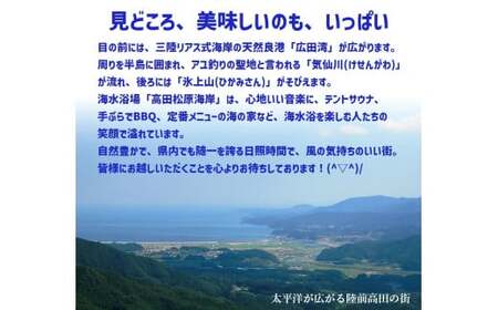 【返礼品なし】 岩手県陸前高田市への応援寄附金 1口 10,000,000円