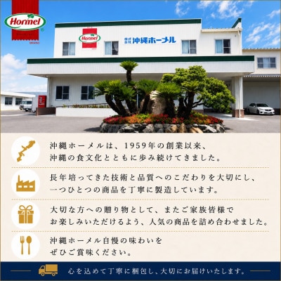のし付き お中元ハムギフト HL-1(焼豚・ビアサラミ・セレクトベーコン)【配送不可地域：離島】