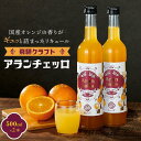 【ふるさと納税】飛騨クラフト アランチェッロ 500ml×2本 | リキュール 酒 お酒 国産 オレンジ 飛騨高山 森瓦店 MM011VP | お酒 さけ 人気 おすすめ 送料無料 ギフト