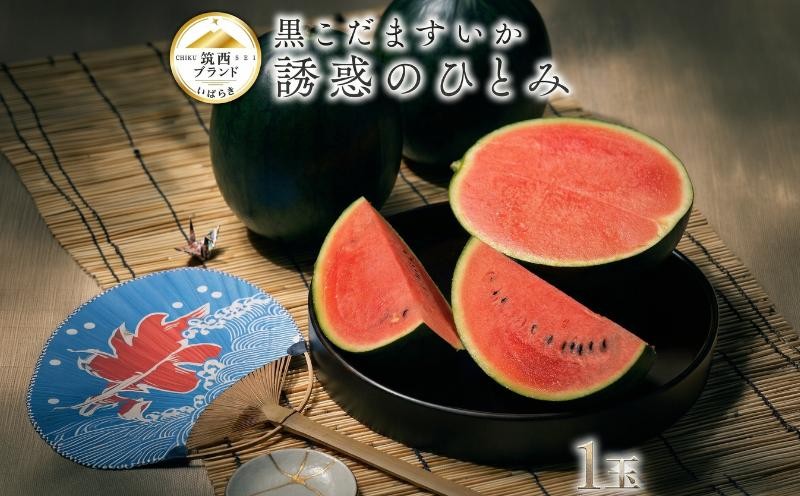 
            【 JA北つくば 】 黒こだますいか 「 誘惑のひとみ 」 1玉 2026年産 スイカ 果物 フルーツ 小玉スイカ 小玉 西瓜 くだもの デザート 茨城 [AE056ci]
          