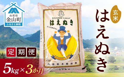 令和7年産《定期便》金山産米 はえぬき【玄米】5kg×3ヶ月計15kg 定期便 3ヶ月 米 お米 ご飯 玄米 ブランド米 送料無料 東北 山形 金山町 F4B-0674