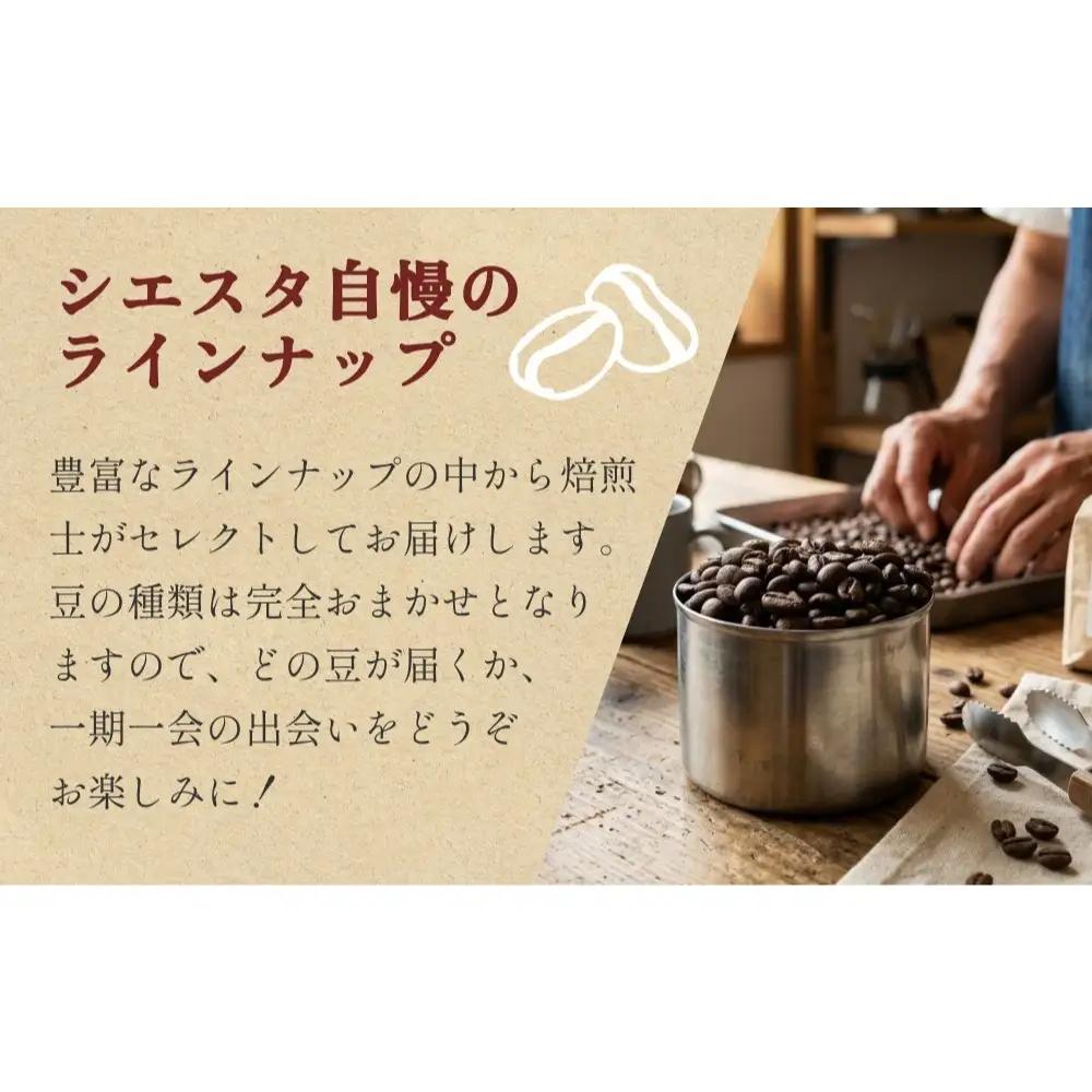 自家焙煎 珈琲豆 100g 焙煎士 おまかせ 粉 中挽き コーヒー 珈琲  コーヒー粉 自家焙煎 焙煎 おまかせ 北海道 安平町