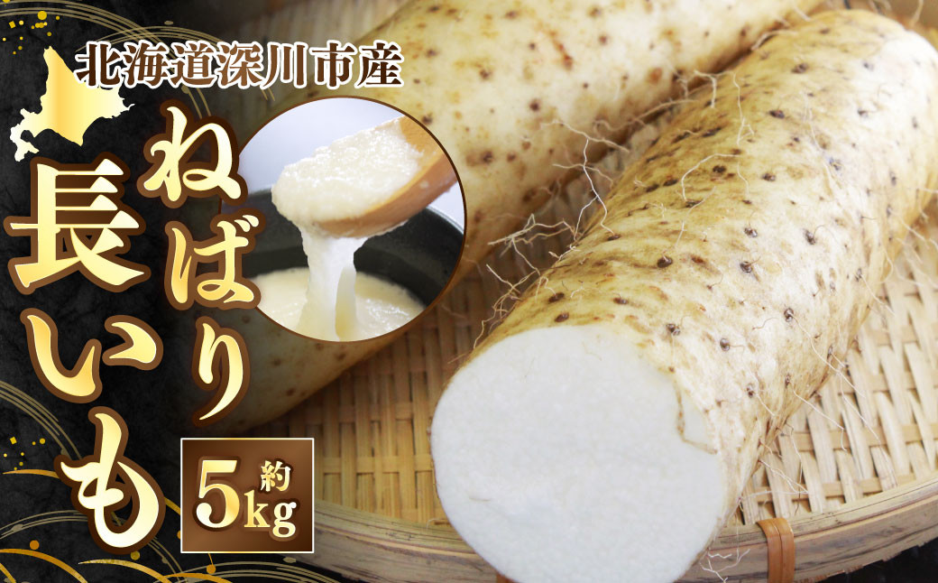 
            《令和7年産 先行受付》北海道深川市産 ねばり長いも 約5kg 【2025年11月上旬-11月下旬 発送予定】 長芋 ながいも 芋 イモ 根菜
          