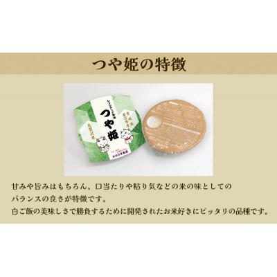 ふるさと納税 岩沼市 【令和7年産】6ヵ月定期便 つや姫 レンジアップごはん 20個[No.5704-0948] |  | 01