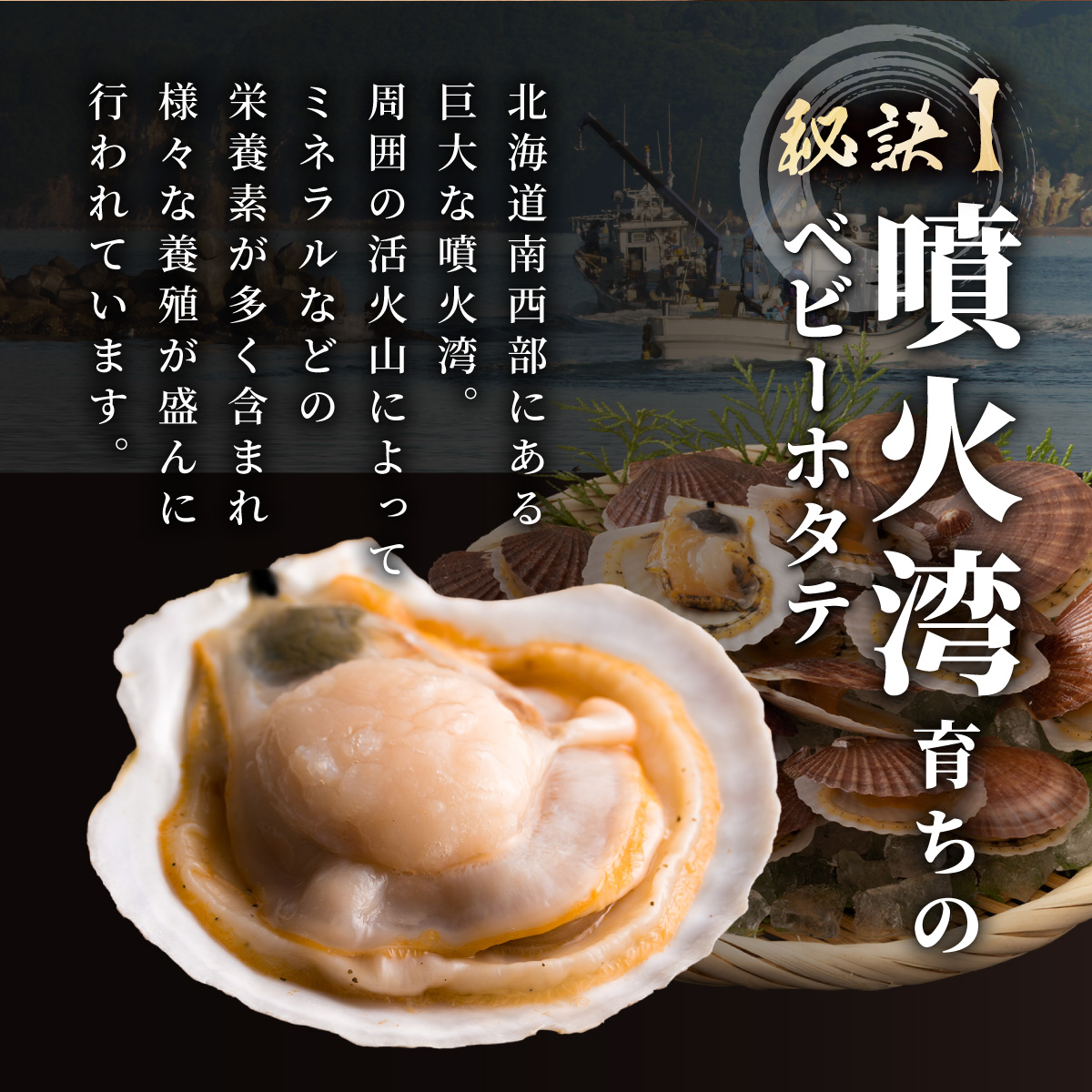 冷凍 ボイル ベビー ホタテ 800g 北海道 噴火湾 ホタテ 急速冷凍 サラダ マリネ シーフード 炊き込みごはん シチュー グラタン_イメージ3