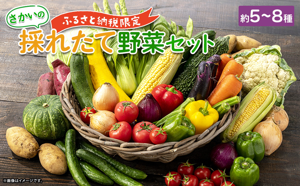 
K1667【ふるさと納税限定】さかいの採れたて野菜セット
