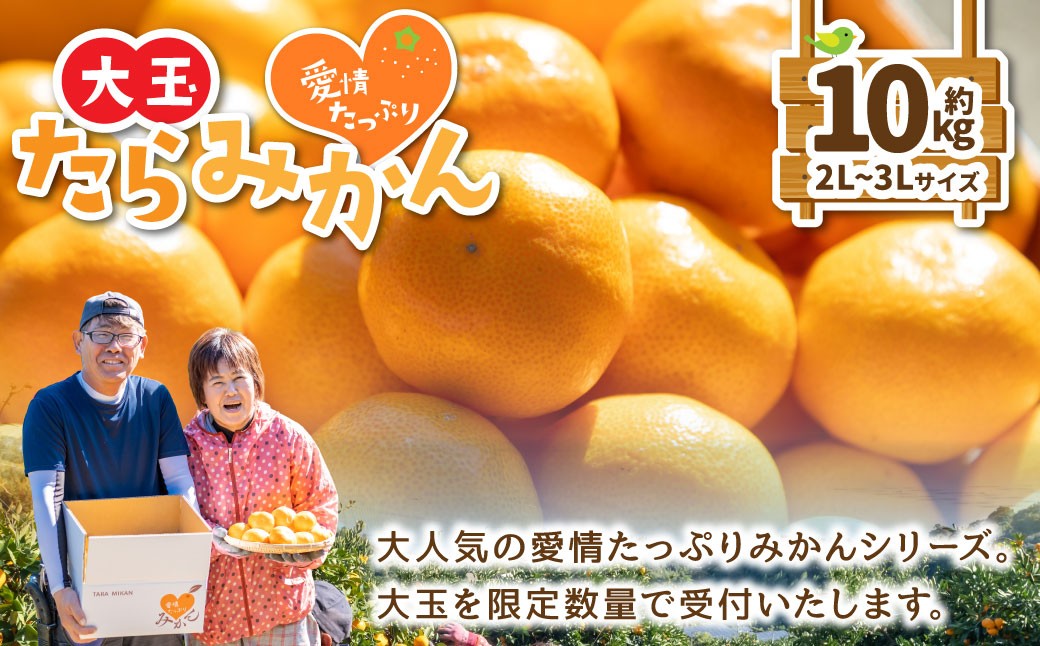 
                  N218x1 愛情たっぷりたらみかん（大玉）10kg　みかん ミカン 蜜柑 たらみかん 太良みかん 温州みかん 完熟みかん 甘熟 早熟 柑橘 国産 佐賀県産 太良町 こだわり 有機栽培 産地直送 贈答品 詰め合わせ 極甘 大玉 【2026年11月上旬-12月下旬発送予定】
                