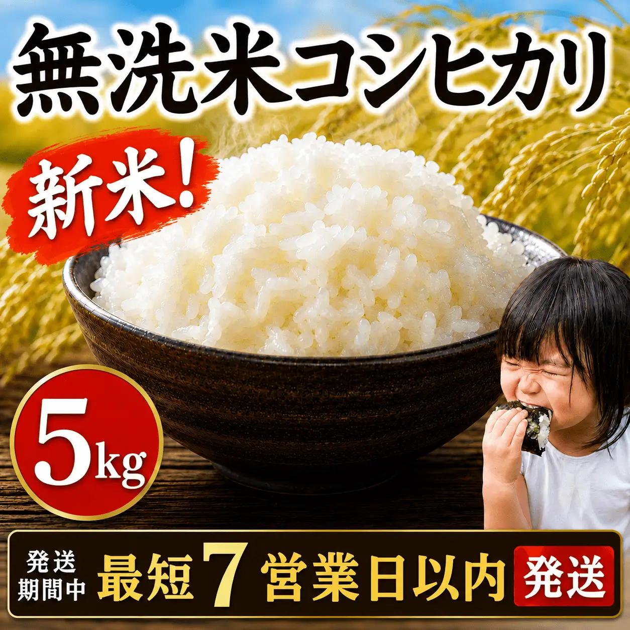 先行予約 千葉県産コシヒカリ 無洗米 5kg 数量限定 | おこめ 5キロ 無洗