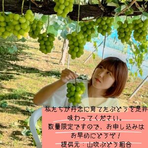 【南信州高森産】シャインマスカット 2kg＜9月中旬より発送＞