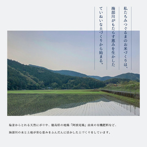 【先行予約】日本晴 白米 10kg 天然にがり栽培 にっぽんばれ 希少 品種 お寿司 ピラフ チャーハン【2026年10月より順次発送】