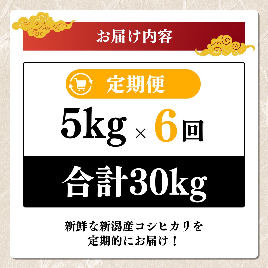 【先行予約】令和8年 新米 新潟上越産コシヒカリ 定期便 【6ヶ月連続お届け】5kg×6回 30kg 新潟 米 新潟県 こしひかり 限定 おすすめ