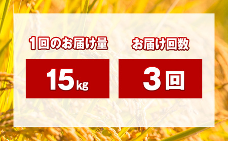 【3ヵ月定期便】北海道 木古内町 ふっくりんこ 15kg 家計応援米　北海道米　お米・ふっくりんこ・米・3ヶ月・3回