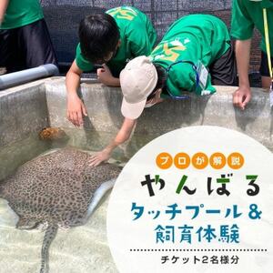 見て・触って・学べる!やんばるタッチプール＆飼育体験チケット2名様【1613754】