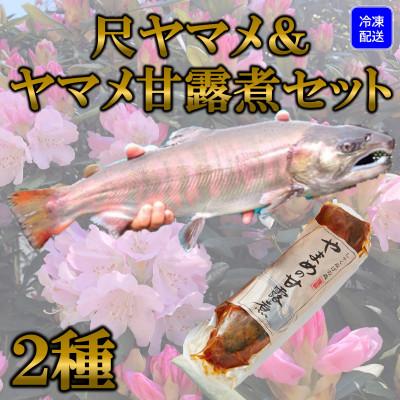 ふるさと納税 三股町 【テレビで紹介されました!】尺ヤマメプレミアムと甘露煮セット【MI020】