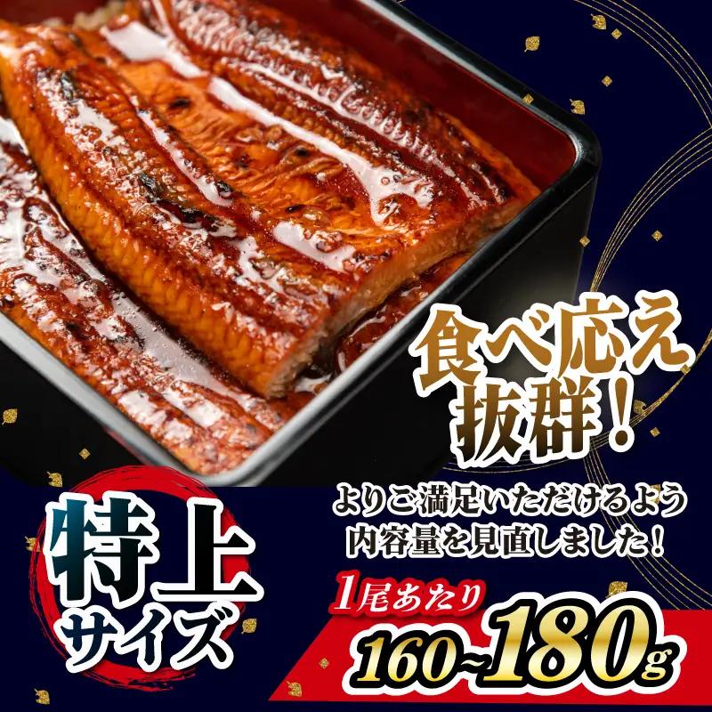 国産 うなぎ蒲焼 2尾 すみの坊 うなぎ