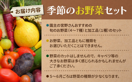 【アグロノーム】お一人様向け、お試し季節のお野菜セット※2024年7月以降発送開始
