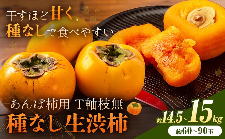
                  【2026年先行予約】柿 かき あんぽ柿用 T軸枝無 種なし 生渋柿 14.5~15kg ふるさと農園《10月中旬-11月上旬頃より発送予定(土日祝除く)》 和歌山県 日高町 贈り物 ギフト
                